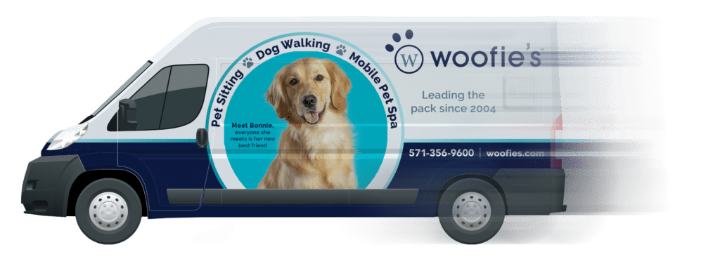 Own a woofies's mobile pet spa van
