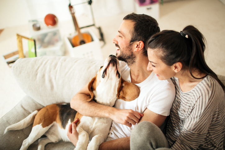 man and women smiling on the couch holding their dog