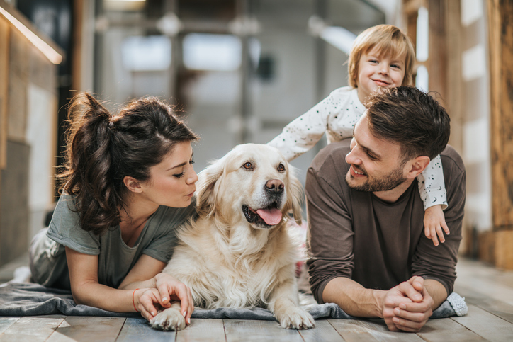 family and a dog