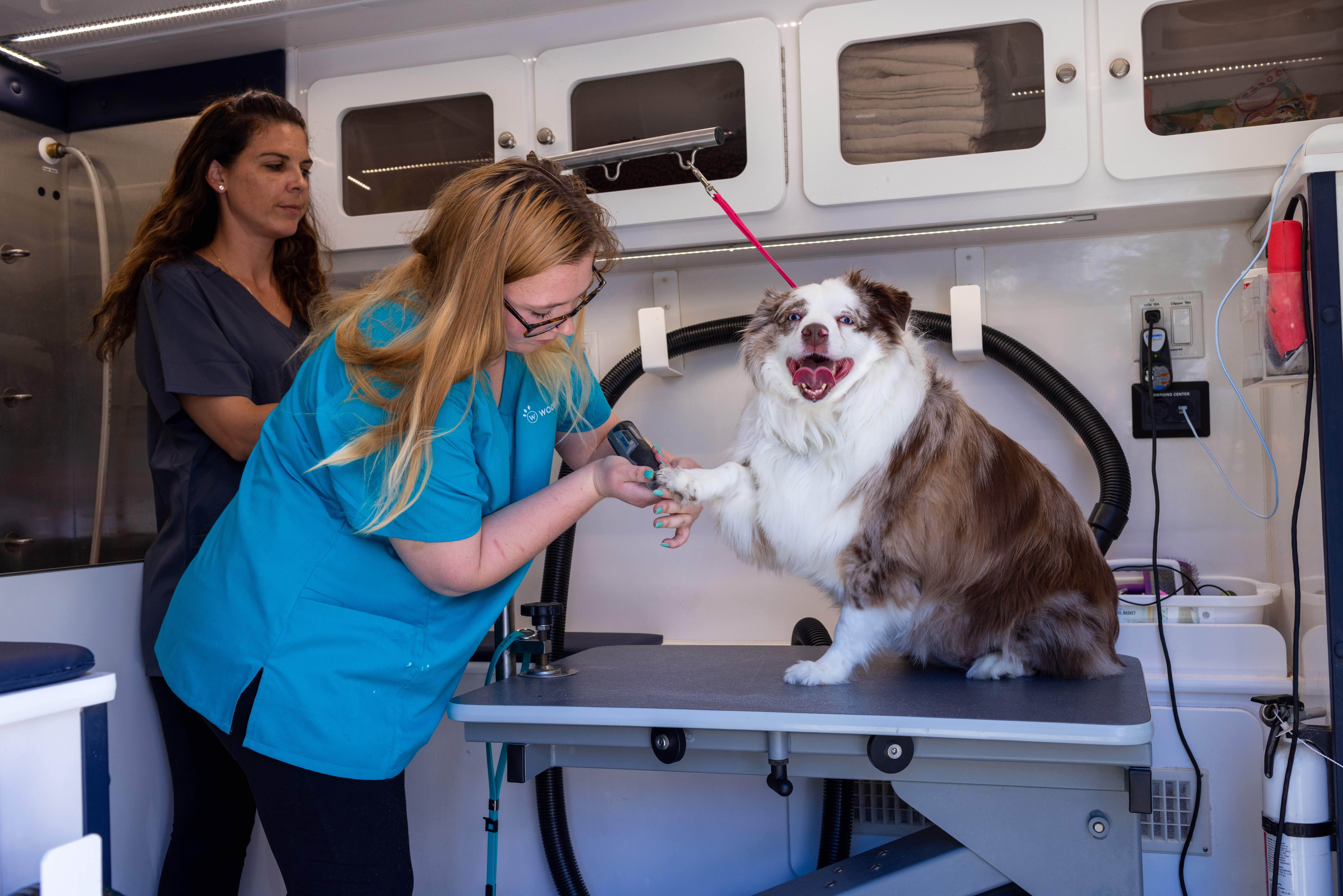 Woofie's Mobile Pet Grooming